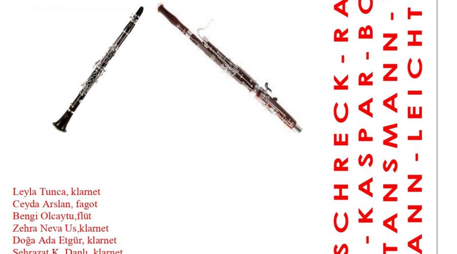 Ezgi Tandoğan & Selen Özyıldırım sanat dalı 12.12.2025 afiş konserleri_page-0001